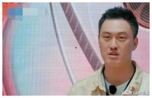 娱乐圈吃瓜爆料文章